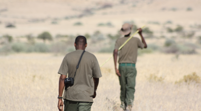 Technology upgrade for Rangers in Namibia | News | Save the Rhino – Save the Rhino International