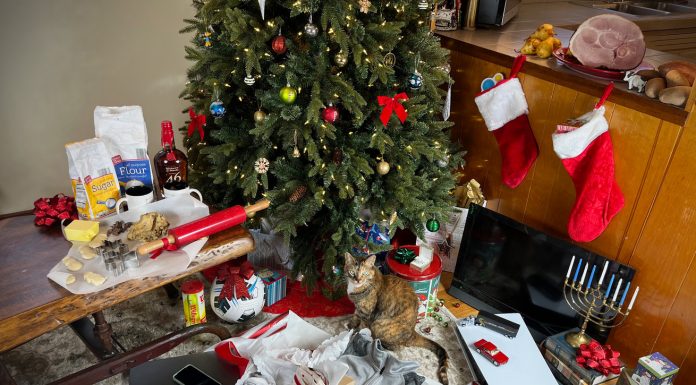 The holidays feel more expensive this year because they are