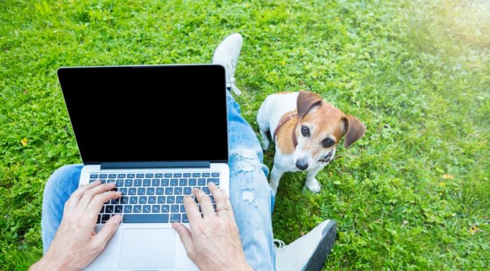Virtual whiteboards prove vital for remote developer teams