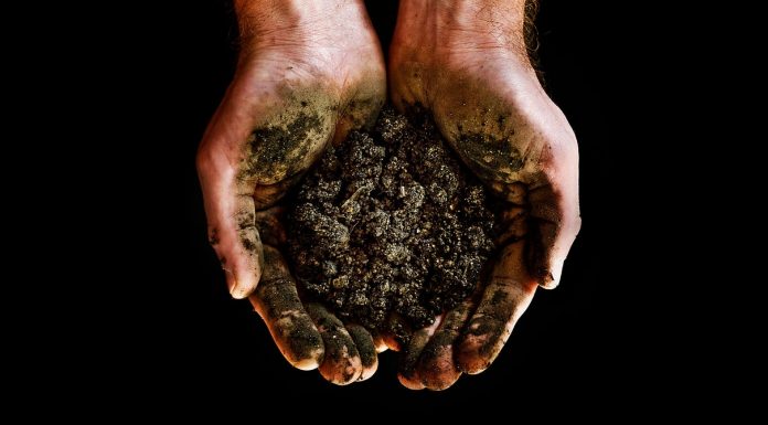 How Body Farms and Human Composting Can Help Communities