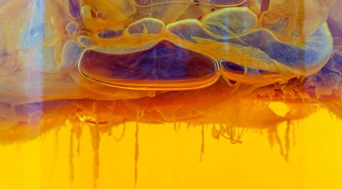 Kombucha Cultures Could Be the Key to Better Water Filters
