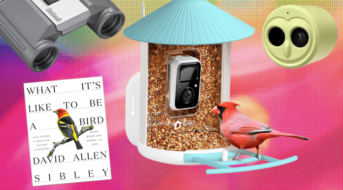 The 19 Best Tried and Tested Gifts for Bird Lovers (2025)
