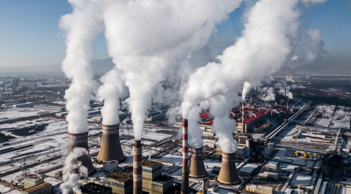 The Download: the fossil fuel elephant in the room, and better tests for endometriosis