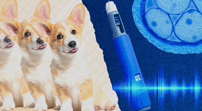 Take our quiz on the year in health and biotechnology