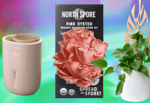 The 17 Best Gifts for Plant Lovers We’d Buy Ourselves (2025)