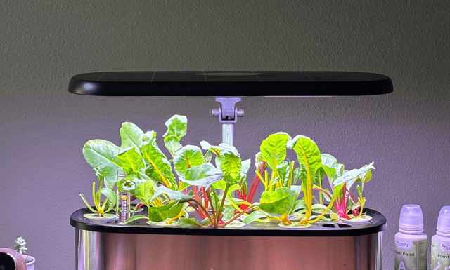 The Best Plant and Gardening Gifts From LetPot (2025)