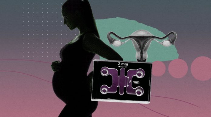 The Download: mimicking pregnancy’s first moments in a lab, and AI parameters explained
