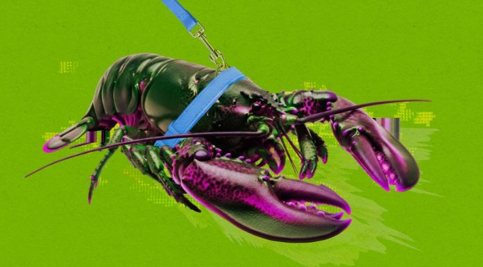 Hustlers are cashing in on China’s OpenClaw AI craze