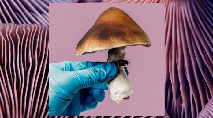 Mind-altering substances are (still) falling short in clinical trials