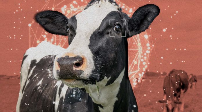 The Bay Area’s animal welfare movement wants to recruit AI