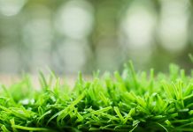 The Download: AstroTurf wars and exponential AI growth