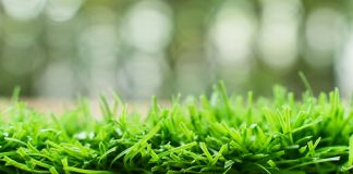 The Download: AstroTurf wars and exponential AI growth
