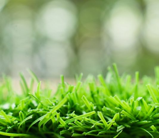 The Download: AstroTurf wars and exponential AI growth