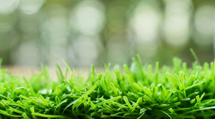 The Download: AstroTurf wars and exponential AI growth