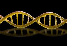 The Download: murderous ‘mirror’ bacteria, and Chinese workers fighting AI doubles