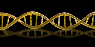 The Download: murderous ‘mirror’ bacteria, and Chinese workers fighting AI doubles