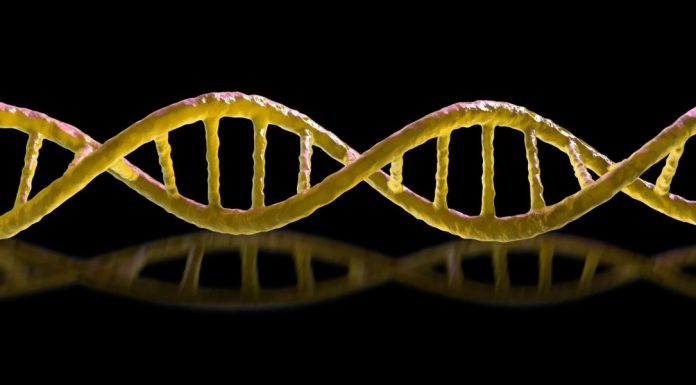 The Download: murderous ‘mirror’ bacteria, and Chinese workers fighting AI doubles