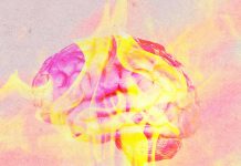 Heat waves mess with your brain. Scientists are trying to figure out why.