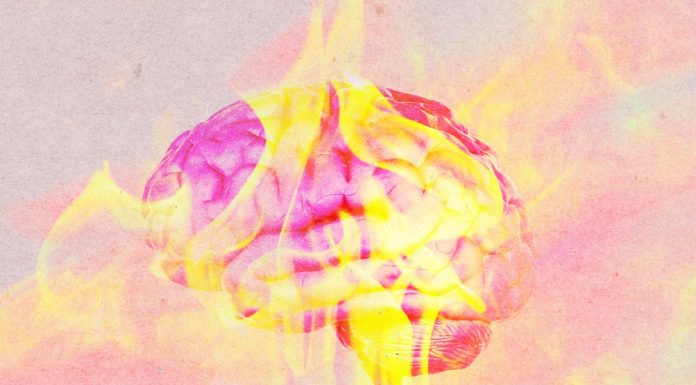 Heat waves mess with your brain. Scientists are trying to figure out why.