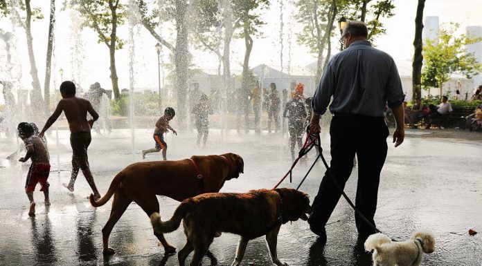 New York Is About to Feel Hotter Than Phoenix