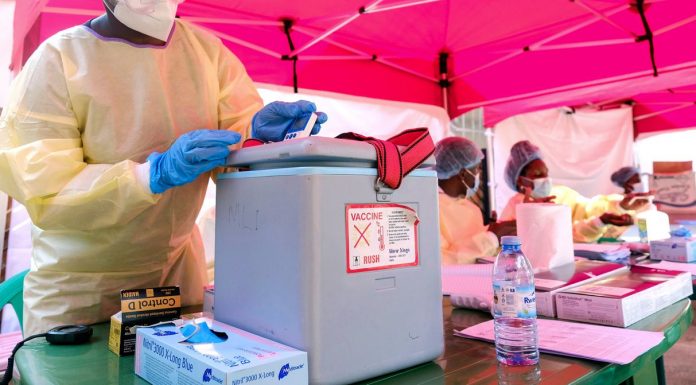The Most Promising Ebola Vaccine Has Been Sitting on the Shelf for 15 Years