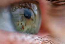 A device that revives eyeballs from dead donors could make eye transplants possible