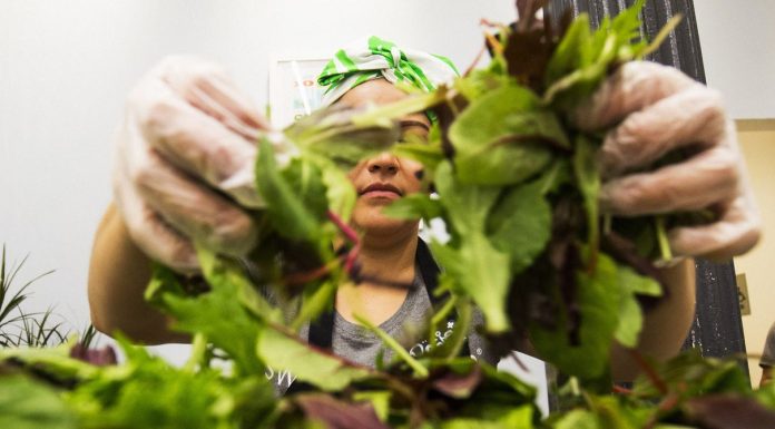 Salad Chains Are Seeing Foot Traffic Drop Over Cyclosporiasis Fears