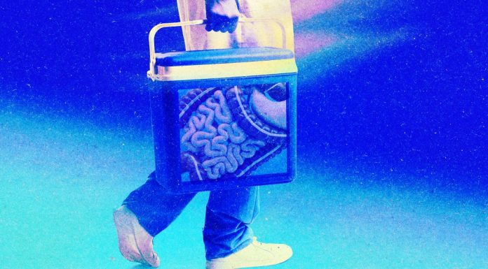 The quest to keep organs alive outside the body