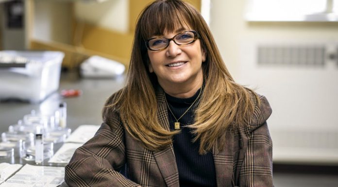 Addressing a sticking point in sustainable adhesives