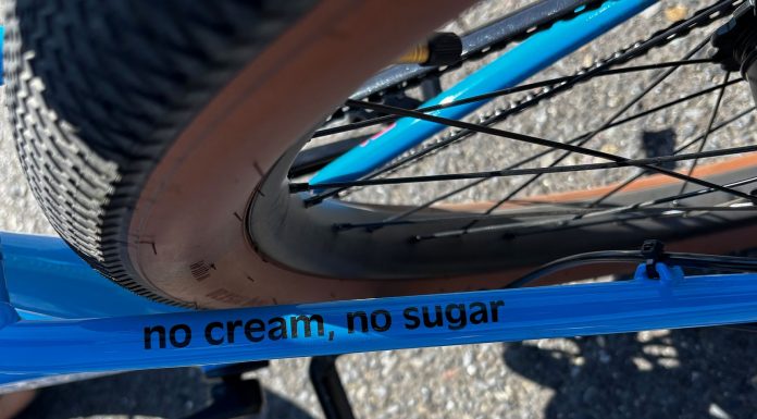 Retrospec Joe Rev 2 Review (2026): Putting the ‘Joy’ in Joyride