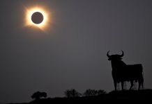 The Best Photos of the Big August Solar Eclipse