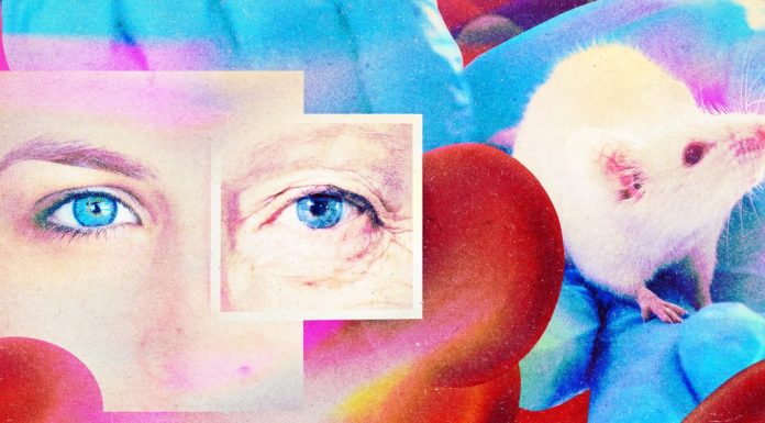 The Download: a secretive antiaging drug and joining virtual power plants