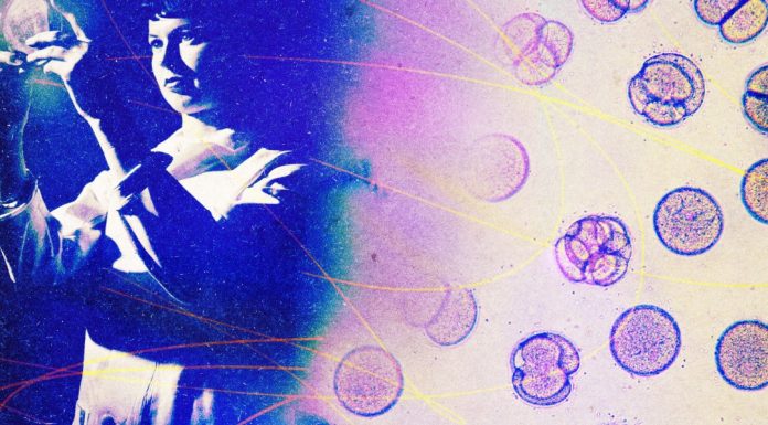 When AI designs a drug, who gets the credit?