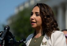 A congressional representative just proposed killing America’s border tower program