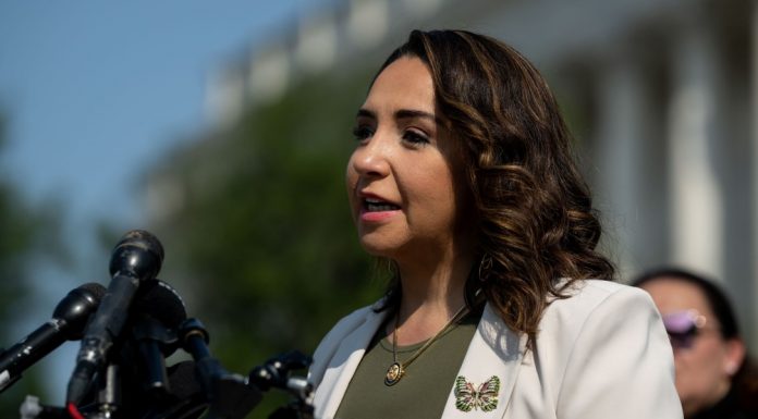A congressional representative just proposed killing America’s border tower program