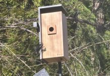 The Smart Bird Feeders Everyone’s Talking About (and Actually Buying) (2026)