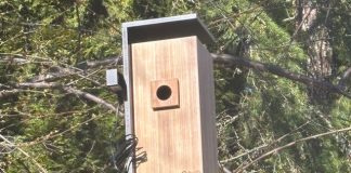 The Smart Bird Feeders Everyone’s Talking About (and Actually Buying) (2026)