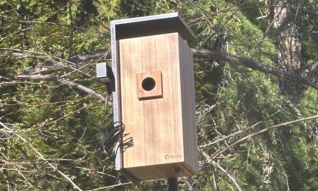 The Smart Bird Feeders Everyone’s Talking About (and Actually Buying) (2026)