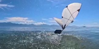 It’s a bird, it’s a plane … it’s a robo-puffin?